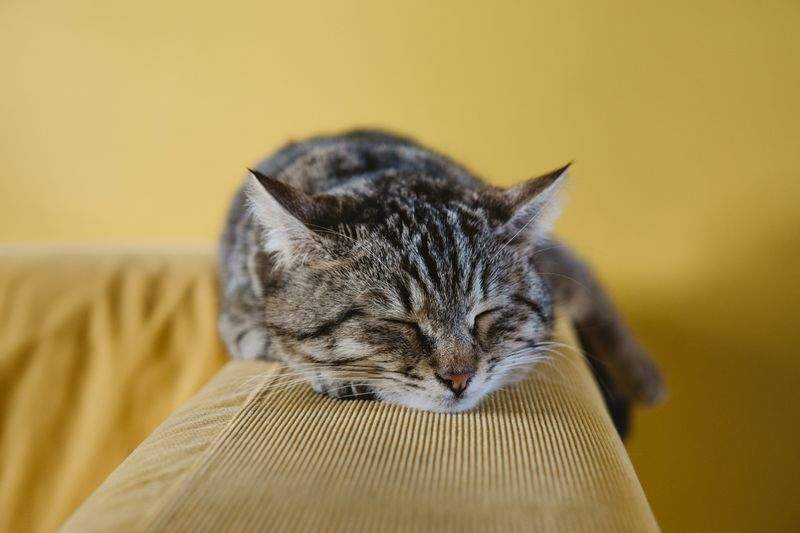 Building a Calmer Routine for a Busy Household